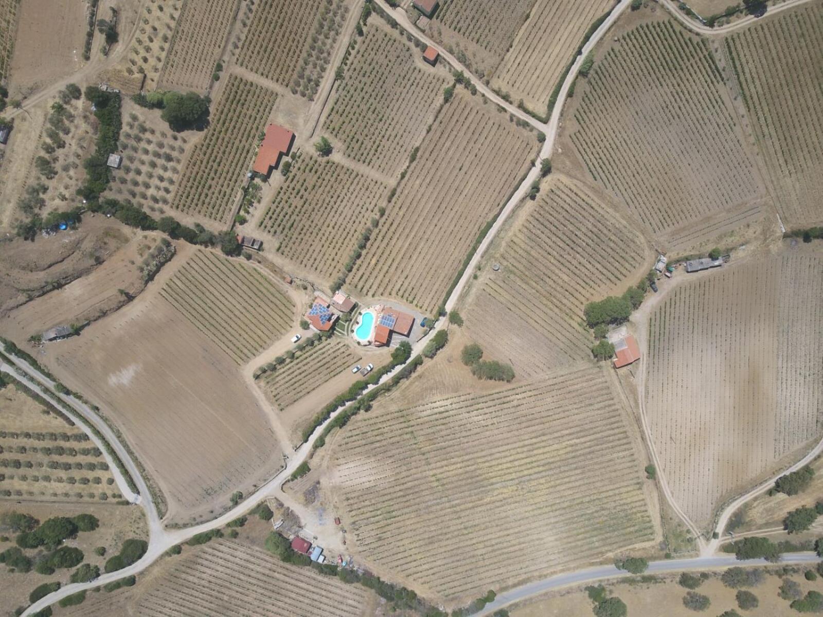 Agriturismo B&B Domo De Resteblas Беркідда Екстер'єр фото
