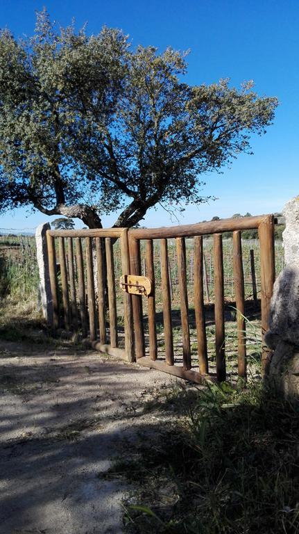 Agriturismo B&B Domo De Resteblas Беркідда Екстер'єр фото